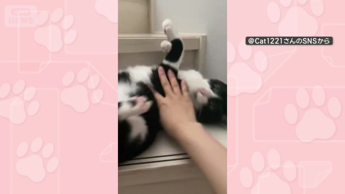 飼い主さんが手で押さえても…クネクネ