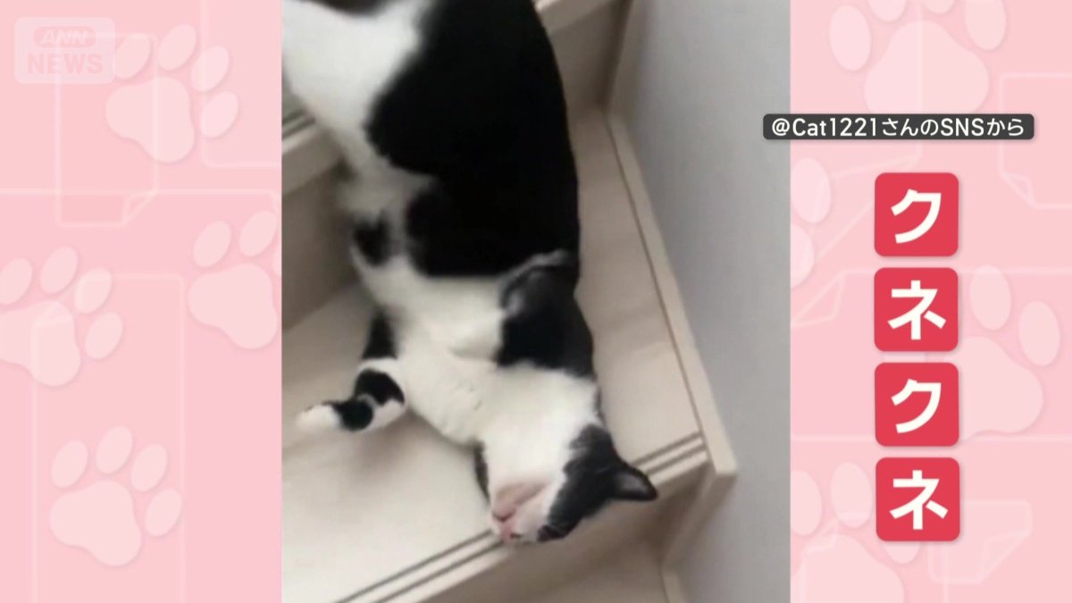 クネクネさせながら階段を滑り降りる