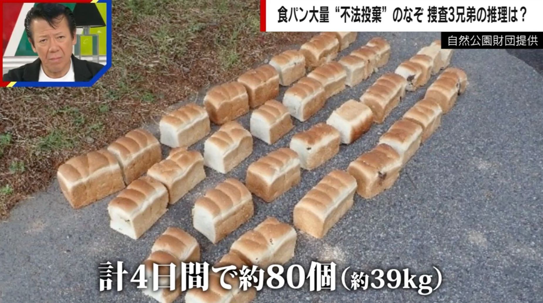 クマが食パンを食べるフェイク動画も “丸ごと”食パンが点々と...鳥取各地で「異様な光景」 餌付け？愉快犯？捜査のプロが分析