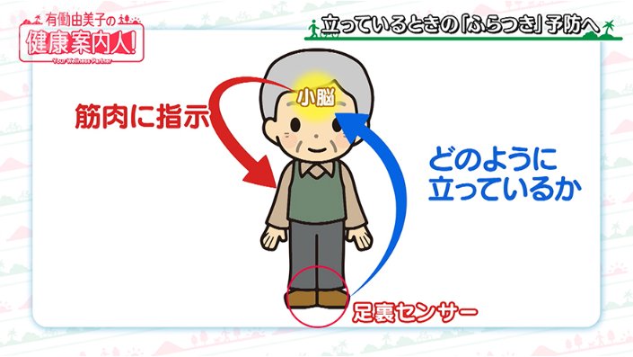 “ふらつき”の原因は
