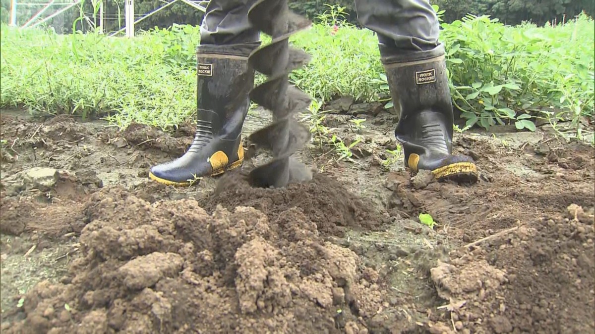 復旧急ぐ千葉に“再び”大雨か…“教訓”踏まえ急ピッチで進む対策