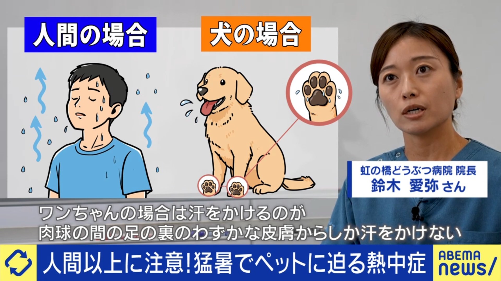 犬は汗をほとんどかかない