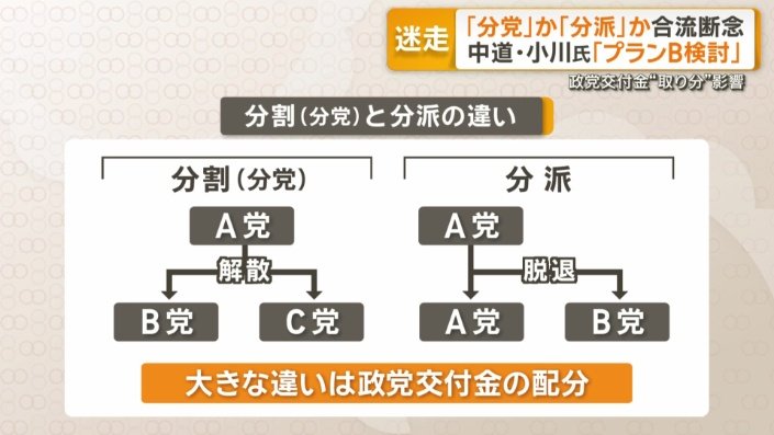分党と分派の違い