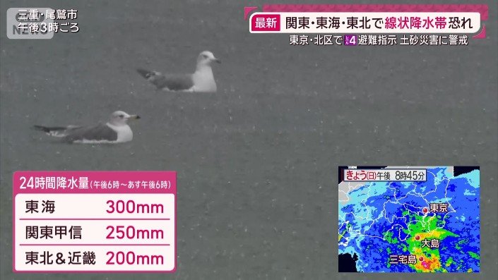 24時間に予想される雨の量