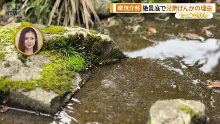 庭にある人工の川