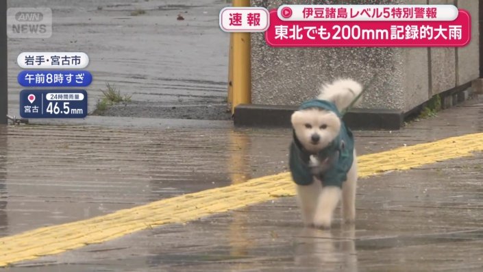 岩手県宮古市