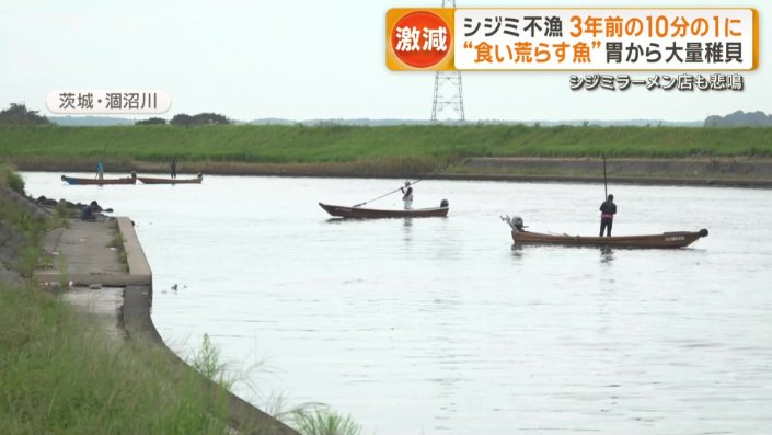 人力での漁