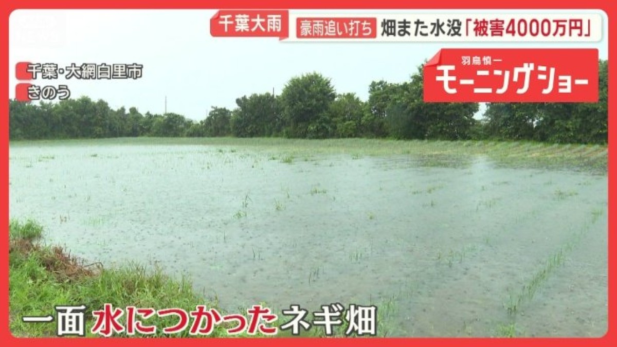 記録的大雨　関東・東北直撃　千葉豪雨被災地に追い打ち　畑また水没「被害4000万円」