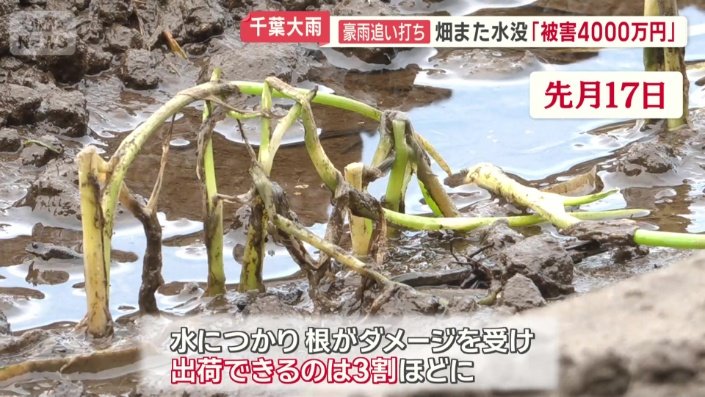 先月の豪雨でも被害