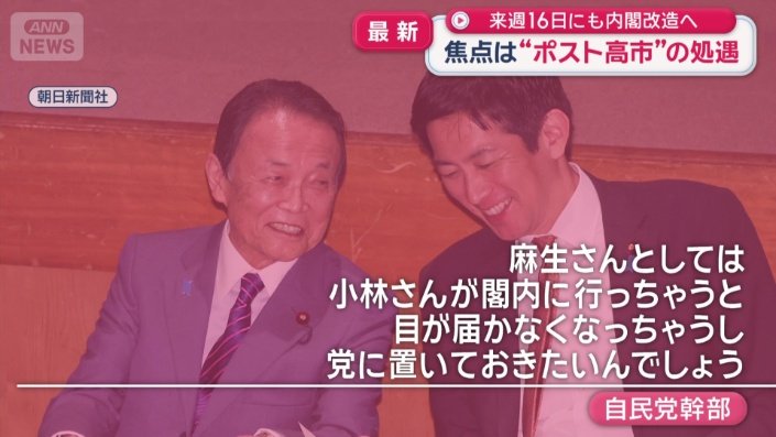 目をかける麻生副総裁の意向があったという