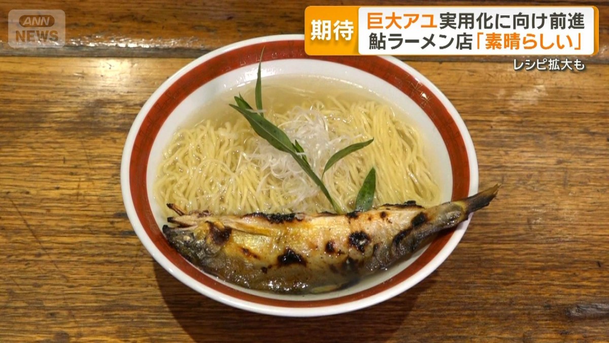 巨大アユ実用化へ前進　切り身や刺し身を実現でレシピ拡大　アユ専門ラーメン店も期待
