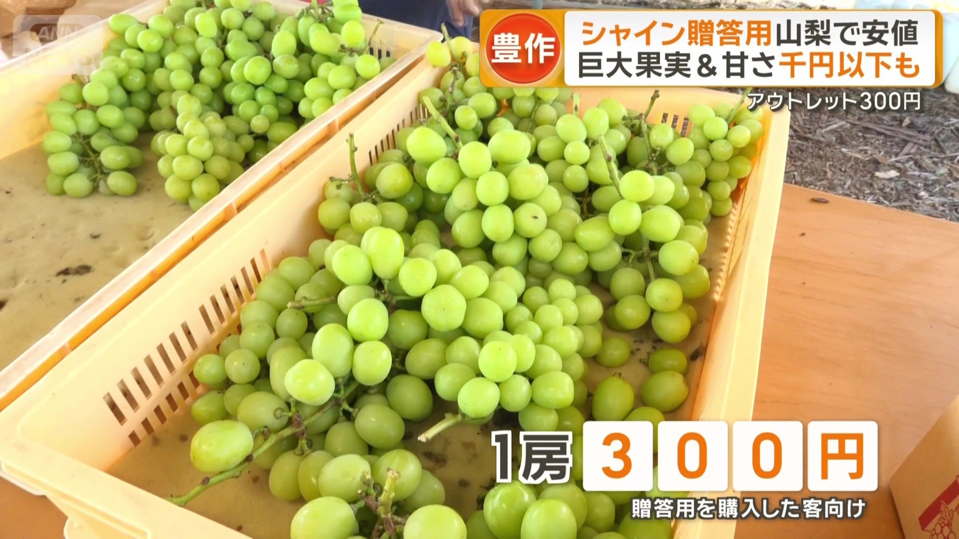 アウトレット1房300円
