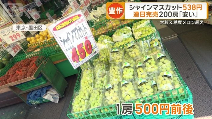 先週から1房500円前後で販売
