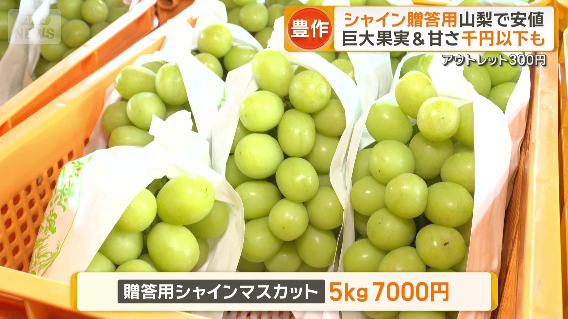 贈答用シャインマスカット5kg7000円