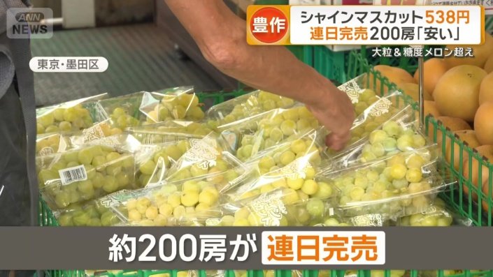 約200房が連日完売
