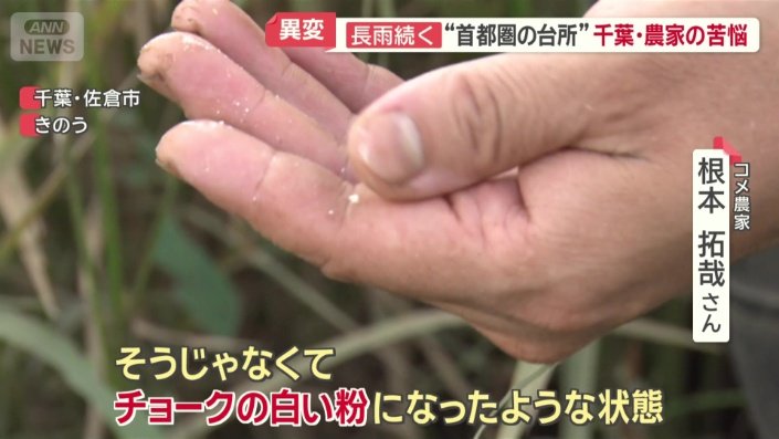 普通の玄米だと割るとパキッと割れるが…