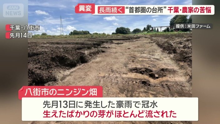 先月の豪雨で冠水し生えたばかりの芽がほとんど流された