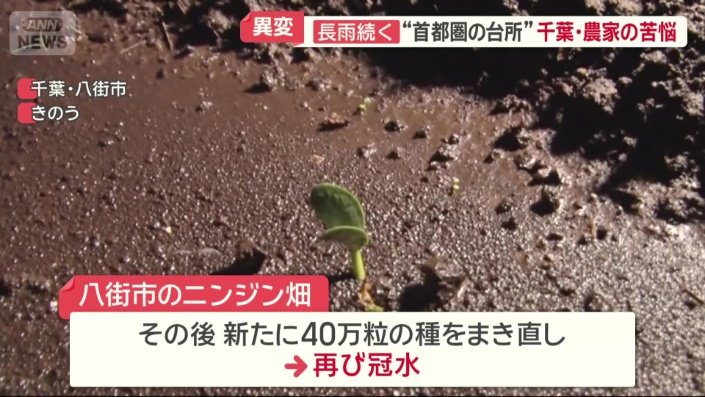 今回の被害で4割ほどしか収穫できない可能性