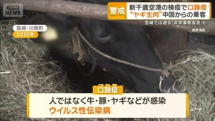 口蹄疫とは