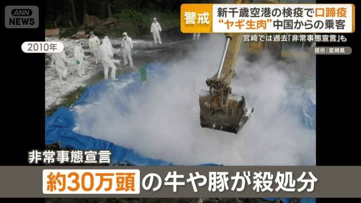 約30万頭のウシやブタが殺処分