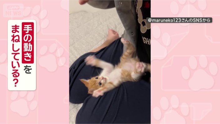まねをしてるのかな？