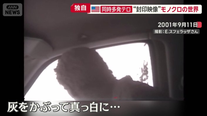 灰をかぶっていて全身真っ白に
