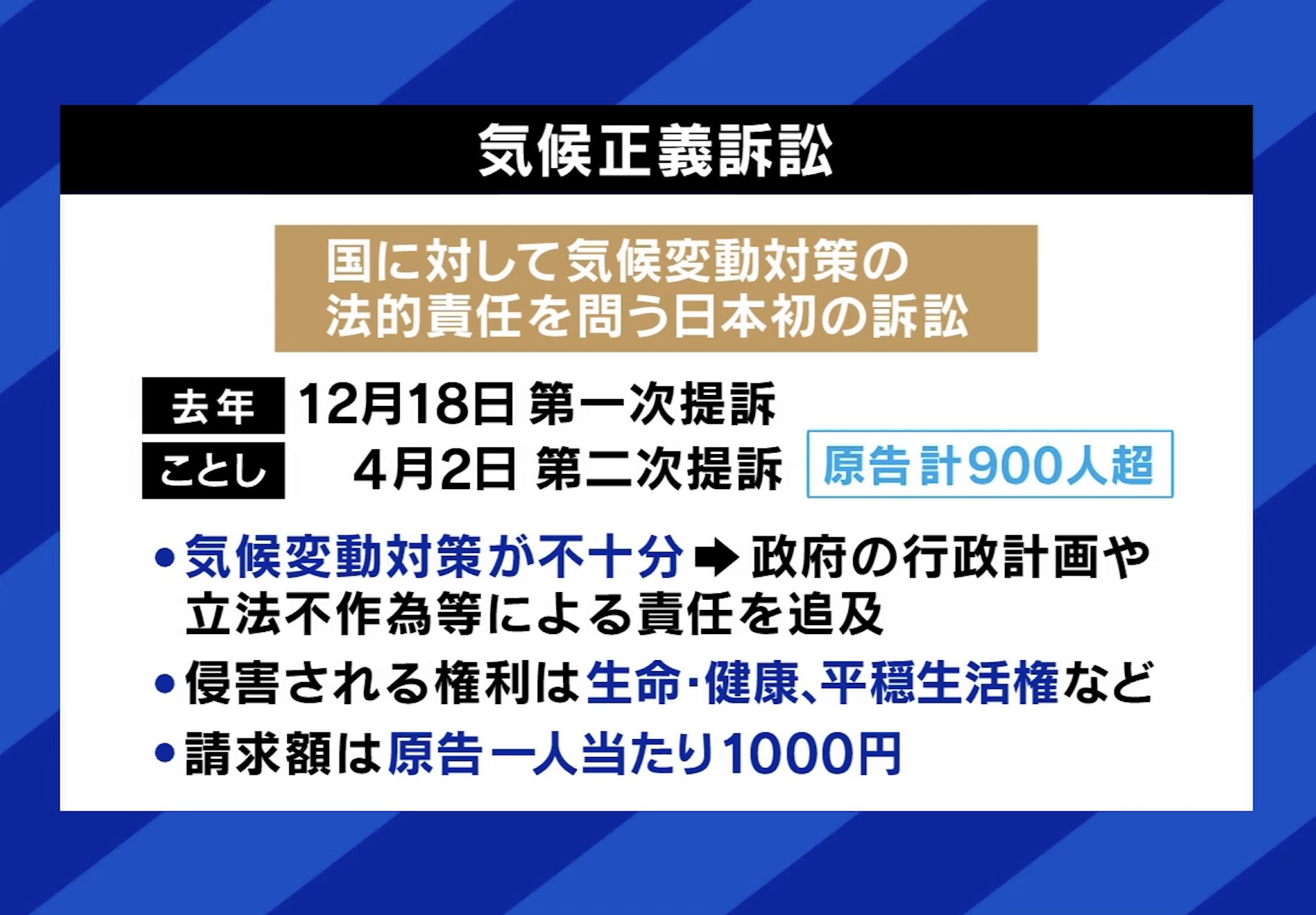 日本でも訴訟が提起されている