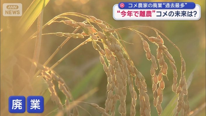 廃業に追い込まれるコメ農家が相いでいる