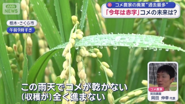 新米の収穫を進める時期だが…