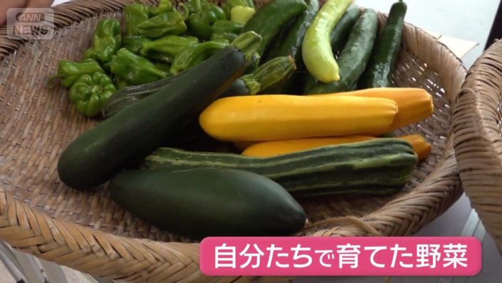 自分たちで育てた野菜