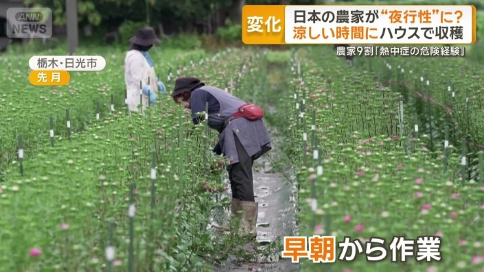 早朝から作業