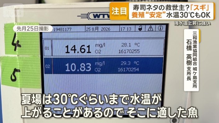 暑さに強い