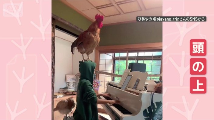 頭の上でスタンバイ