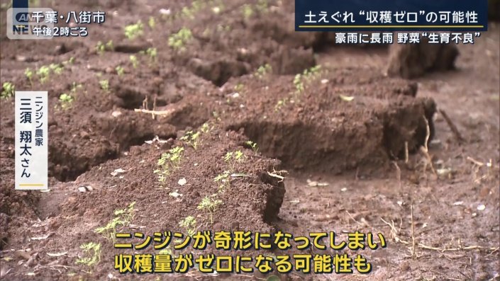 ニンジン農家 三須翔太さん