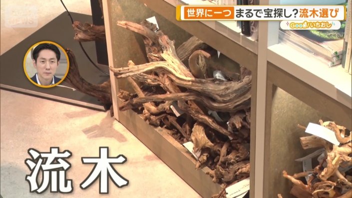 流木