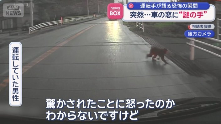 「車に体当たりしてそのまま去った」