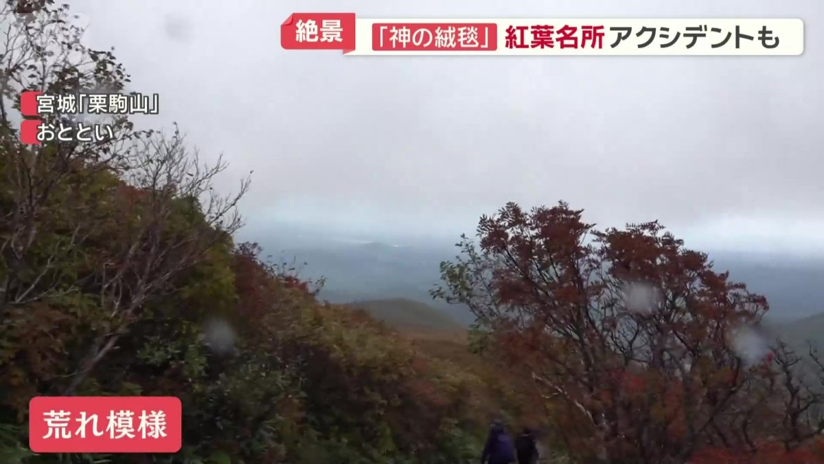 突如天気は荒れ模様に