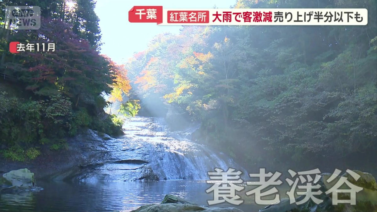 千葉の紅葉の名所・養老渓谷