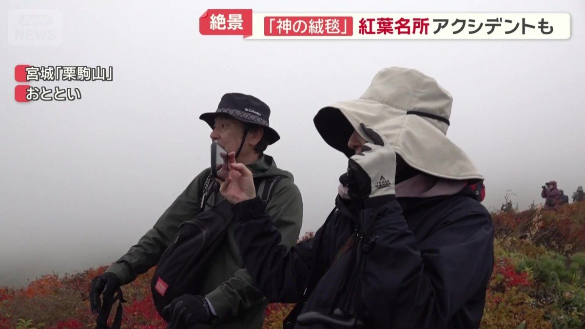 山頂に行くのは断念
