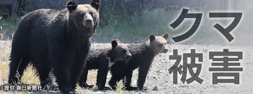 相次ぐクマ被害 急がれる対策