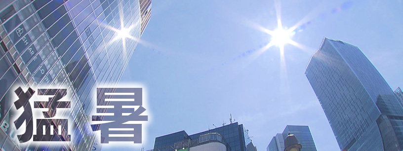 今年の夏の高温「明らかに異常気象」　記録的猛暑